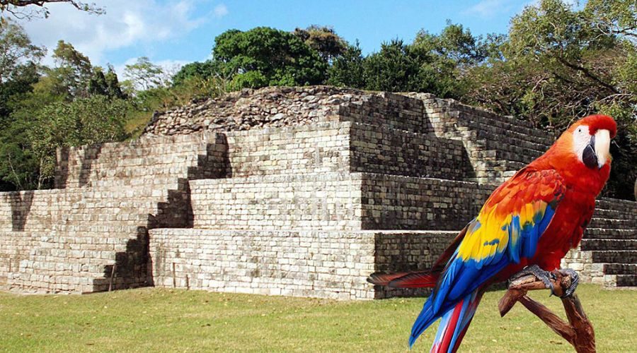 Estelas y templos de Copan Ruinas